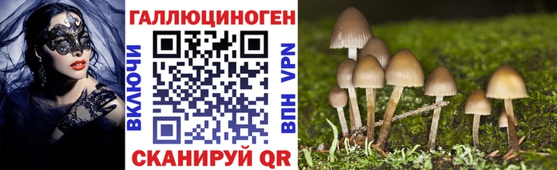 Псилоцибиновые грибы GOLDEN TEACHER  Суворов 